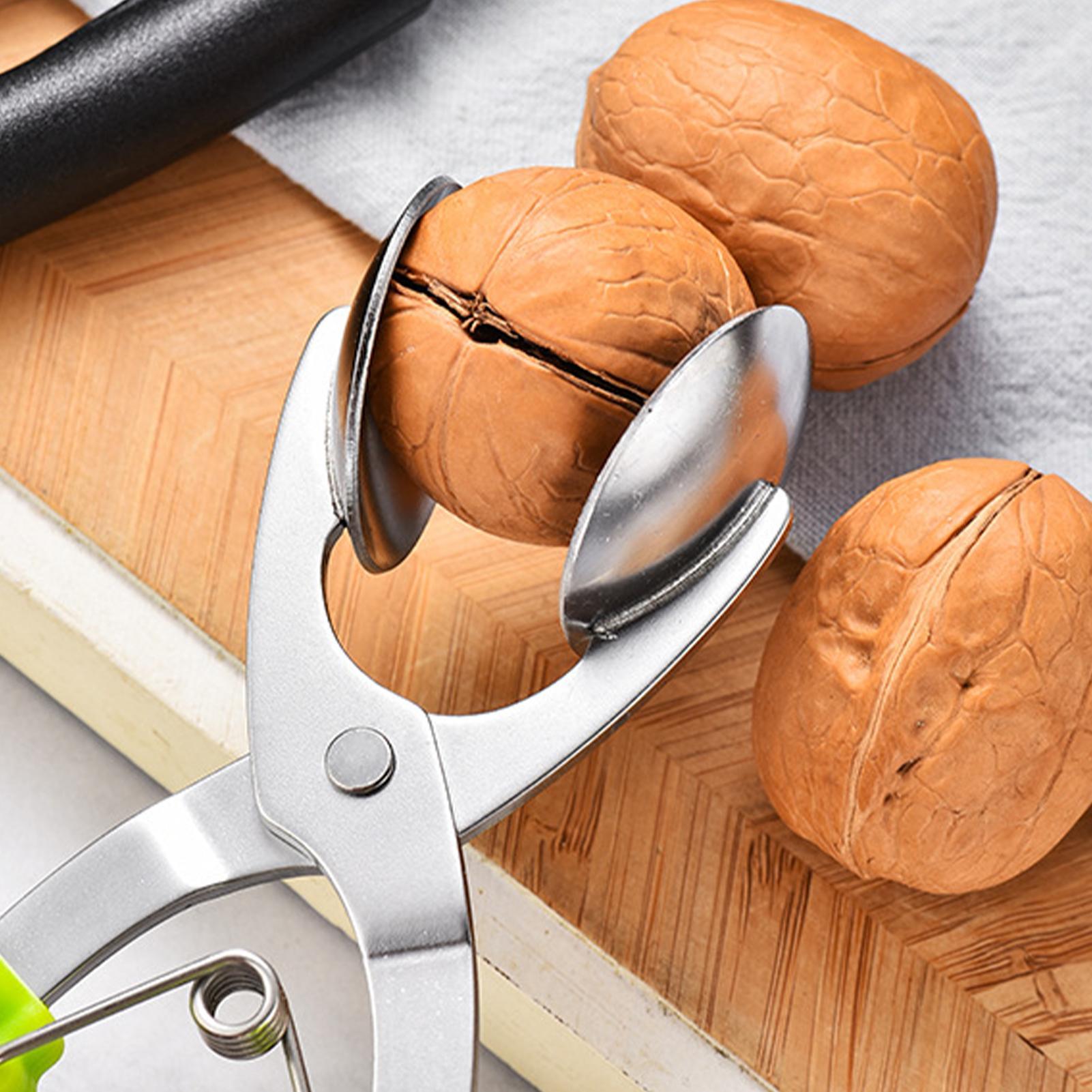 Stainless Chestnut Machine Kit - Kitchen Handy Gadgets ulasan dan harga